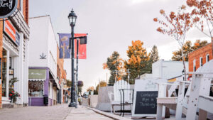 Boutique shops, vintage-style street light, muskoka chairs, and fall foliage in downtown Thornbury, Ontario.