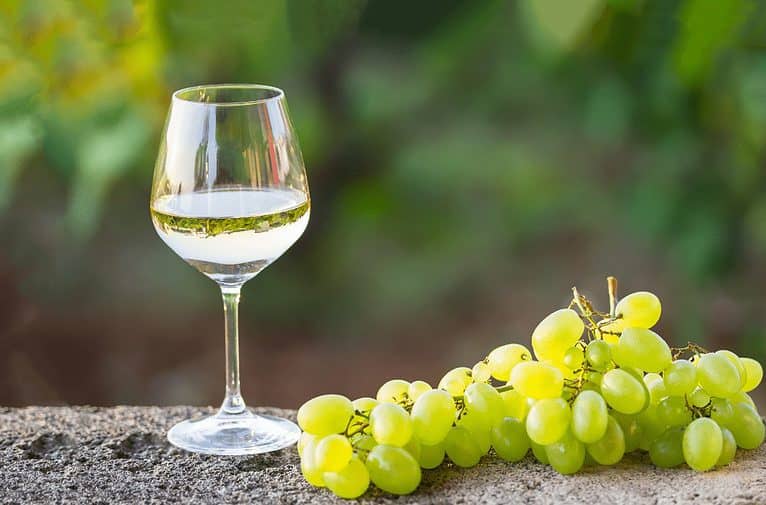 Glass of white wine and cluster of green grapes against a blurred background of natural forest setting.