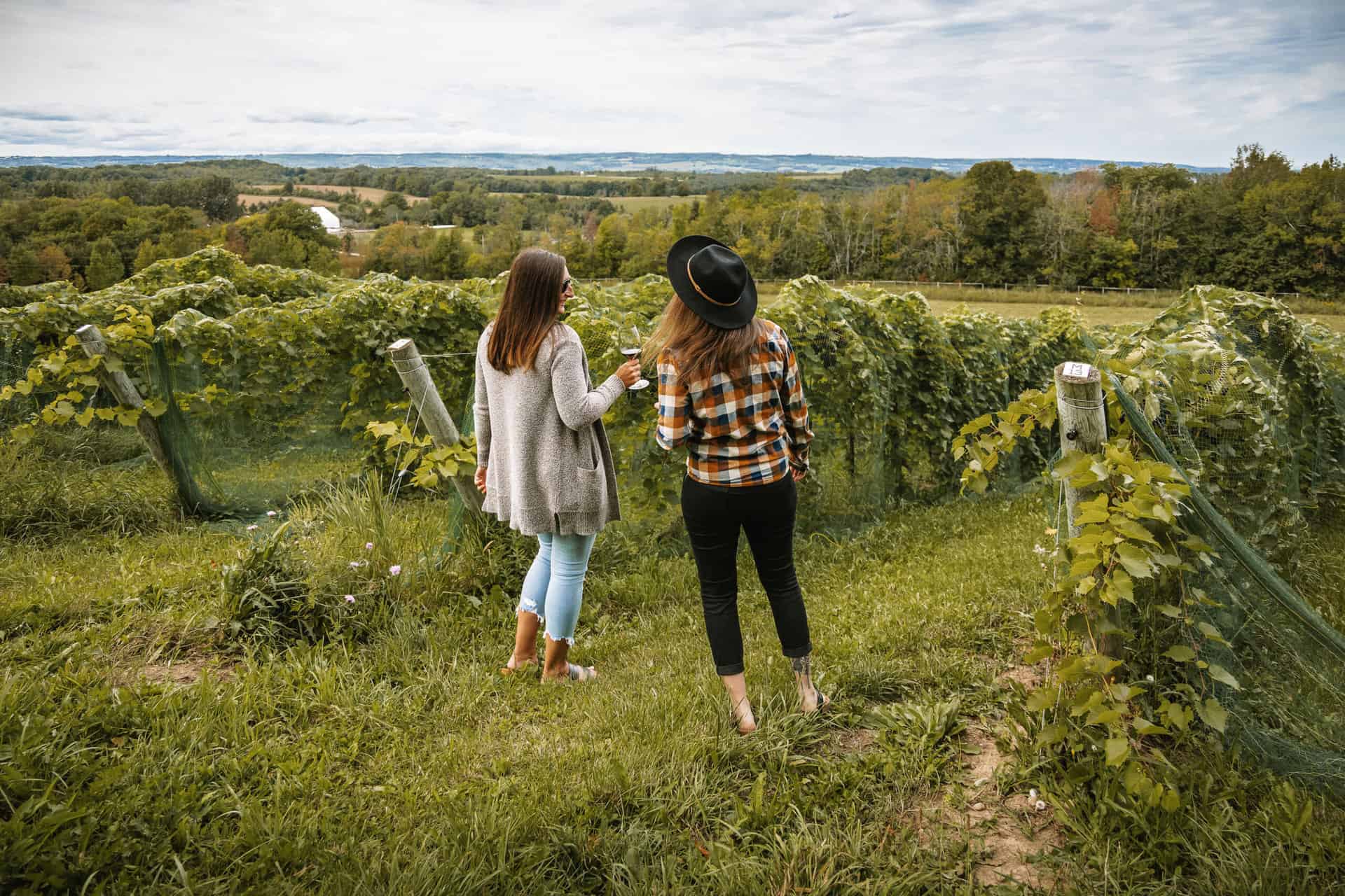 two women are standing in a vineyard doing a cheers motion with their wine glasses. it looks like a beautiful fall day with a couple clouds in the sky. they are wearing cardigans and flannel