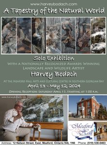 Solo Exhibit: The Art of Harvey Bodach