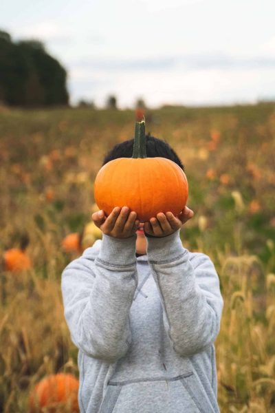 child holding pumpkin at farm